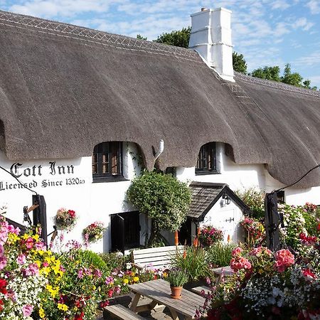 The Cott Inn Totnes Kültér fotó