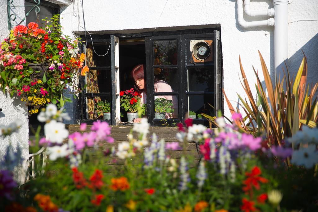 The Cott Inn Totnes Kültér fotó